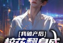 我破产后，校花翻身成总裁要养我？完结版陈述苏晴晚免费阅读大结局-蔬菜文学