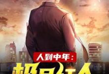 求助这本人到中年:极品红人小说在哪里可以看完结版-蔬菜文学
