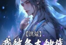 洪荒:我被各大神族当皮球踢精彩章节阅读(陆文)免费阅读大结局-蔬菜文学