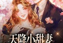 天降小甜妻:偏执大佬抱着哄大结局,徐蓁沈凌风小说无广告阅读-蔬菜文学