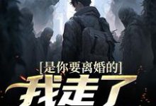 是你要离婚的，我走了你又哭？热门小说(陈潜柳如烟)在线阅读无弹窗-蔬菜文学