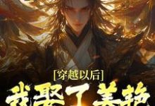 貂长聚柳漓烟在线阅读,穿越以后,我娶了美艳宗主当老婆小说完结版章节-蔬菜文学