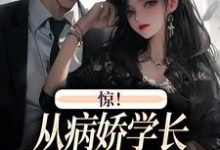 惊！从病娇学长身边逃跑失败了大结局，叶寒向暖小说无广告阅读-蔬菜文学