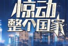 我一通电话，惊动整个国家免费阅读(叶北)小说免费读最新章节-蔬菜文学
