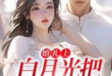 婚礼上，白月光把男友截胡了热门小说(沈矜陈槿之)在线阅读无弹窗-蔬菜文学