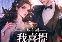 主人公是陈芸赵乾志的小说一场车祸，我喜提妻女一双？免费阅读-蔬菜文学