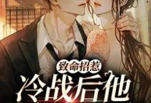 致命招惹:冷战后他靠撒娇求和精彩章节阅读(李书妤许况)免费阅读大结局-蔬菜文学