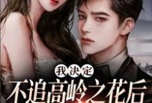 小说我决定不追高岭之花后,他急了主角樊璐陆斯钦免费阅读-蔬菜文学