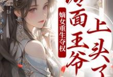 主人公是叶流锦的小说两世欢：公府嫡女她是真的狂免费阅读-蔬菜文学