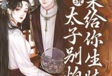 系统：太子别怕，我来给你生娃了最新章节系统：太子别怕，我来给你生娃了在线阅读-蔬菜文学