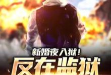 新婚夜入狱!反在监狱成大佬(秦风林婉儿)最新章节免费阅读-蔬菜文学