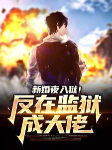 新婚夜入狱！反在监狱成大佬（秦风林婉儿）最新章节免费阅读