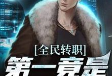 完结版全民转职,第一竟是混子瑶在哪免费看,叶枫小说在线阅读-蔬菜文学