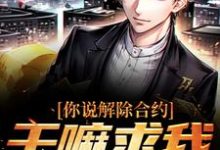 你说解除合约,干嘛求我回去无弹窗陆洲最新章节列表-蔬菜文学