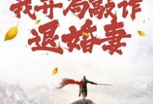 穿到修仙界,我开局敲诈退婚妻(主角顾风)完结版免费阅读-蔬菜文学