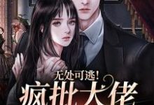 无处可逃！疯批大佬强制爱小说最新章节在哪里可以免费看-蔬菜文学