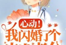 心动!我闪婚了个忠犬老公(楼阮)最新章节在线阅读-蔬菜文学
