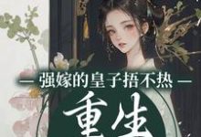 小说强嫁的皇子捂不热，重生她不要了（沈安安）最新章节在哪看-蔬菜文学