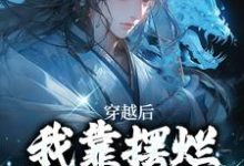 穿越后，我靠摆烂咸鱼大翻身（主角林阳白幼薇）完结版免费阅读-蔬菜文学