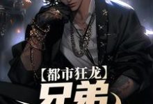 亲哥出狱，带我起飞有错吗（宋渔向影）最新章节在线阅读-蔬菜文学