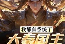 我都有系统了，大秦国主还装啥完结版叶天北冥子免费阅读大结局-蔬菜文学