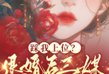 阮月见萧樾小说免费阅读最新章节列表,踩我上位?退婚后三媒六聘嫁他哥小说在线看-蔬菜文学
