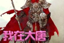 我在大唐卖军火（方二）最新章节免费在线阅读-蔬菜文学