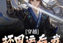 穿越：坏国运后，我要飞升成仙免费阅读，李天唐含雪大结局无弹窗-蔬菜文学