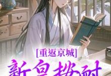 求助这本重返京城，新皇按耐不住了！小说在哪里可以看完结版-蔬菜文学
