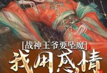 战神王爷要坠魔,我用感情拯救他(苏婉清陆少卿)最新章节免费阅读-蔬菜文学