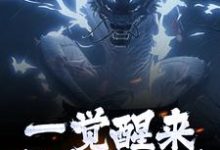 主角是叶尘渊江月寒的小说女尊人夫：被逆徒强推的白衣剑仙在哪免费看-蔬菜文学