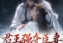 君王强夺臣妻,只为惊鸿一面完结版陆妧夕尉迟璟免费阅读大结局-蔬菜文学