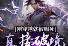 刚穿越就被赐死，直接破境陆地神仙（主角宁尘）完结版免费阅读-蔬菜文学