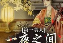 求助这本第一美人，一夜之间沦为笑柄小说在哪里可以看完结版-蔬菜文学