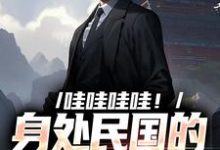 哇哇哇哇！身处民国的我变大佬（苏墨）完结版免费阅读-蔬菜文学