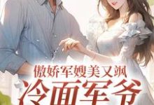 傲娇军嫂美又飒,冷面军爷被拿捏(岑婧怡顾延卿)完结版免费阅读-蔬菜文学