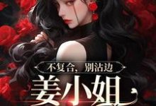 不复合，别沾边，姜小姐又美又飒（顾衍泽苏辞心）完结版免费阅读-蔬菜文学