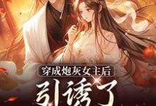 完结版踹掉言情男主，勾搭男频帝王在哪免费看，沈毓灵权明赫小说在线阅读-蔬菜文学