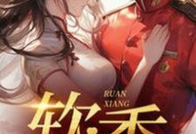 小说不是大哥，你兜这大一圈就为娶我主角宋翊免费阅读-蔬菜文学