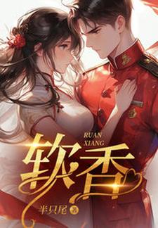 小说不是大哥，你兜这大一圈就为娶我主角宋翊免费阅读