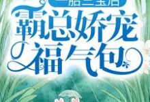 陆北城江如意小说的结局在哪可以看,一胎三宝后,霸总娇宠福气包免费阅读完结版-蔬菜文学