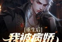 被病娇财阀抢婚后，校花悔哭完结版林轩苏婳免费阅读大结局-蔬菜文学