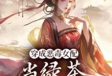 小说胡说，她才不是坏女人！主角乔挽颜免费阅读-蔬菜文学