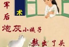 吴妮妮叶泽川小说免费阅读最新章节列表,姐随军后,炮灰小姨子熬出了头小说在线看-蔬菜文学