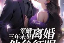 姜柠沈墨最新章节列表结婚三年不回家，军婚也得离免费阅读-蔬菜文学