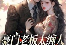 小说豪门老板太缠人，为她折腰为她疯主角沈雾徐宴行免费阅读-蔬菜文学