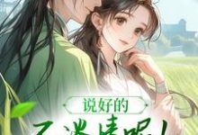 说好的不谈情呢!王爷请自制在线看,风潇潇陆舟渊小说大结局在哪免费看-蔬菜文学