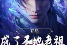 精彩章节阅读开局成了圣地老祖，我走废材流(林凡)免费小说在线看-蔬菜文学