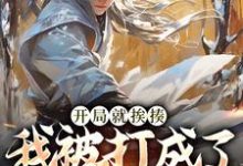 开局就挨揍,我被打成了武林至尊精彩章节阅读(叶青)免费阅读大结局-蔬菜文学
