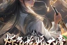 炼气抢婚大帝,你当这里是女频?(陆渊萧韵儿)最新章节在线阅读-蔬菜文学